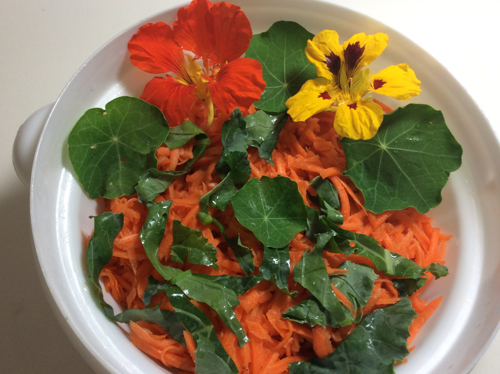 Nasturtiums Versatile and Easy to Grow Countryside